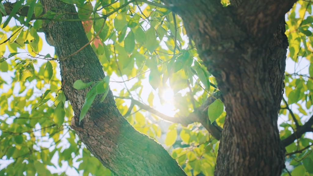 ��ʱ|AG(AsiaGaming)������Ӫ��