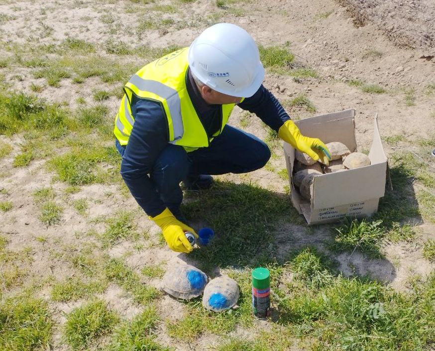 ÈöÂí¶ûº±Éú̬ר¼ÒΪÖÐÑǽ¹ê×öмҡ°Èë¼®¡±±ê¼Ç