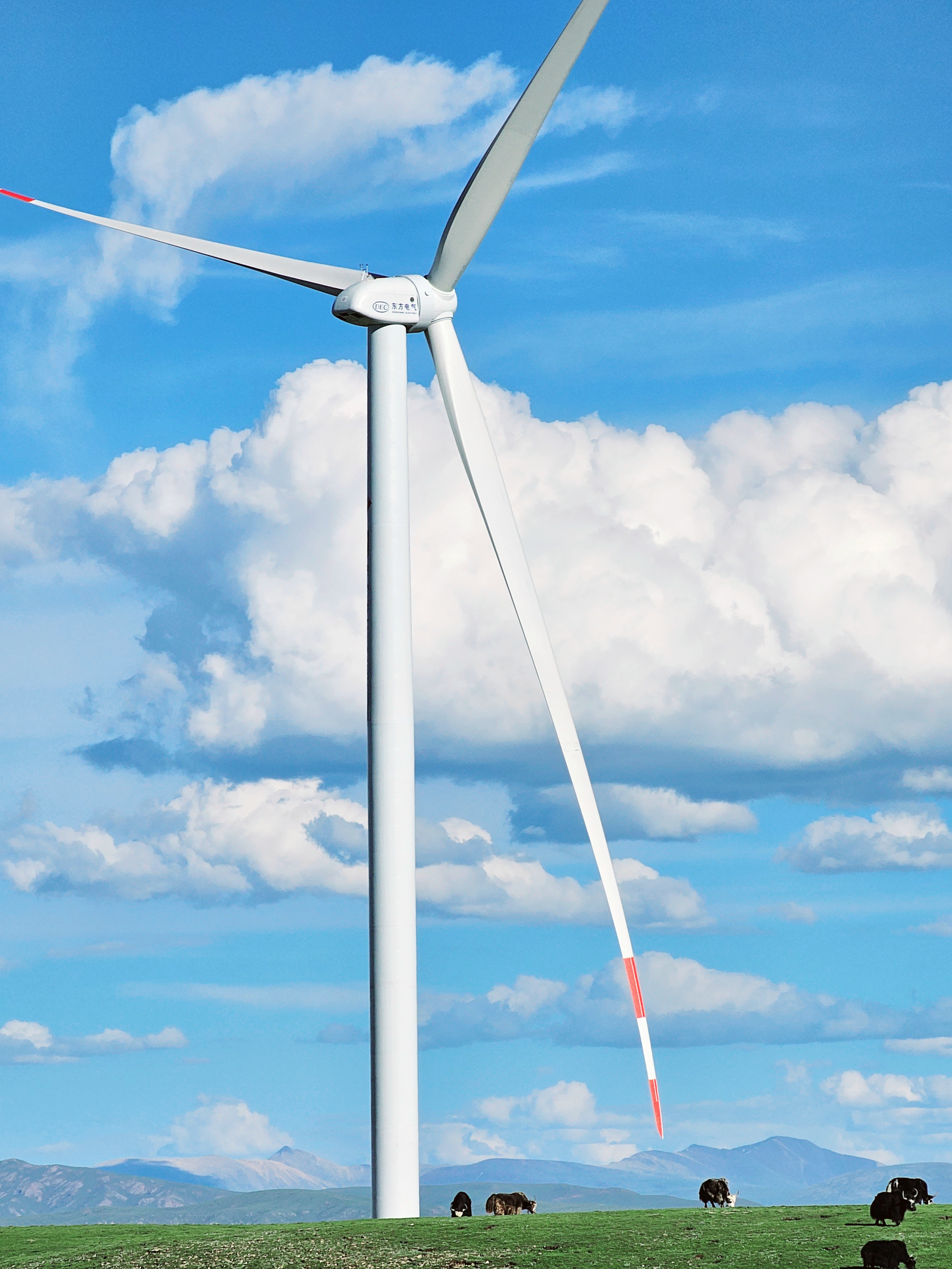 ��ʱ|AG(AsiaGaming)������Ӫ��