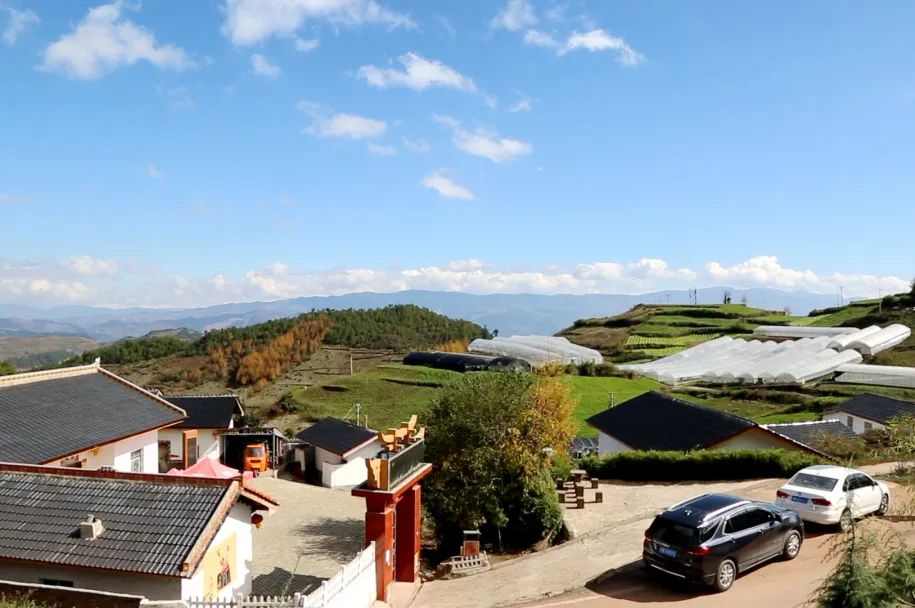 ��ʱ|AG(AsiaGaming)������Ӫ��