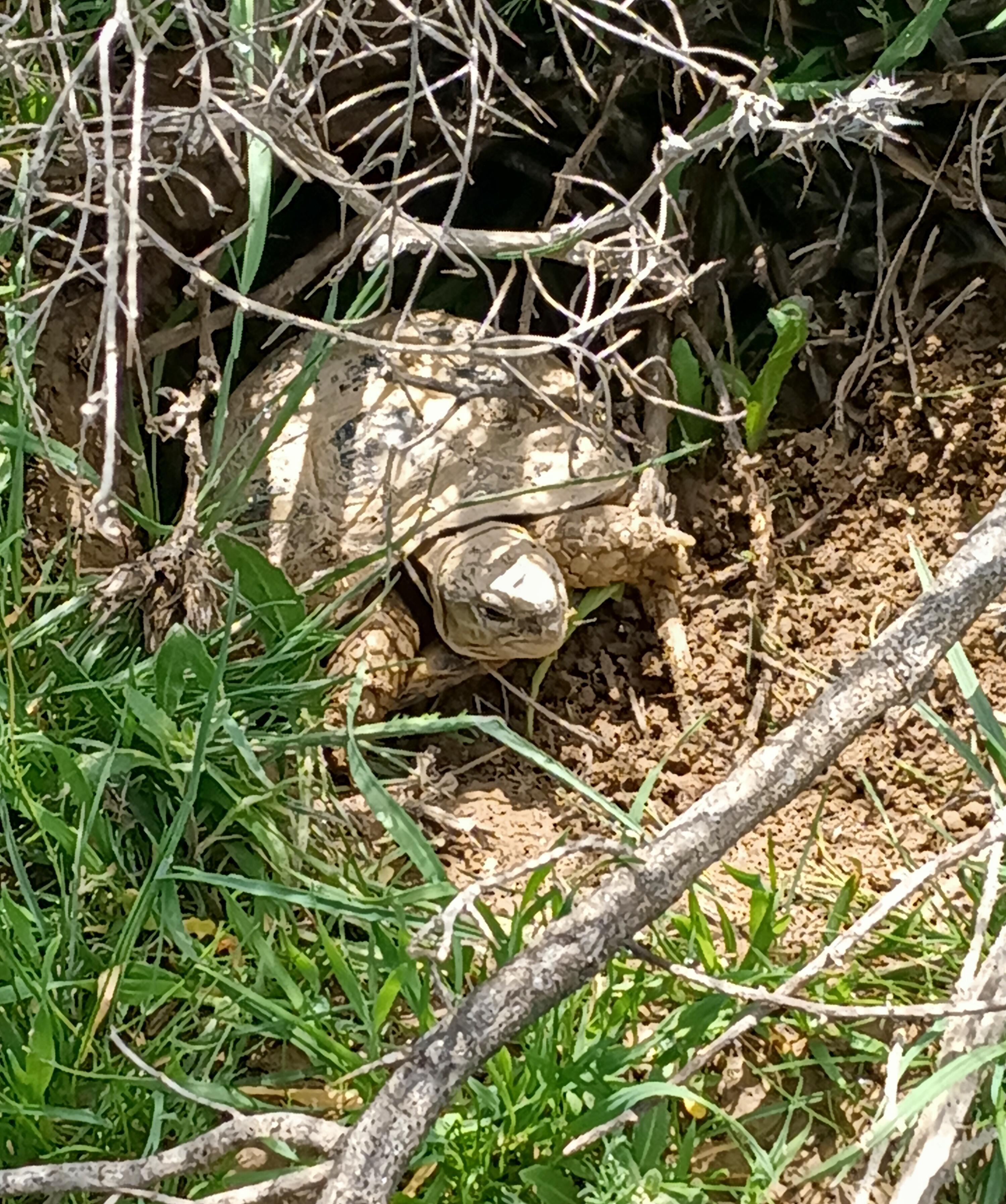 ����½��