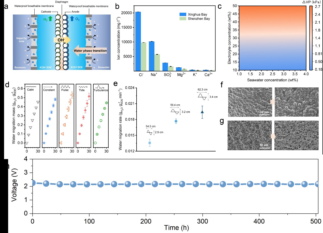 ��ʱ|AG(AsiaGaming)������Ӫ��