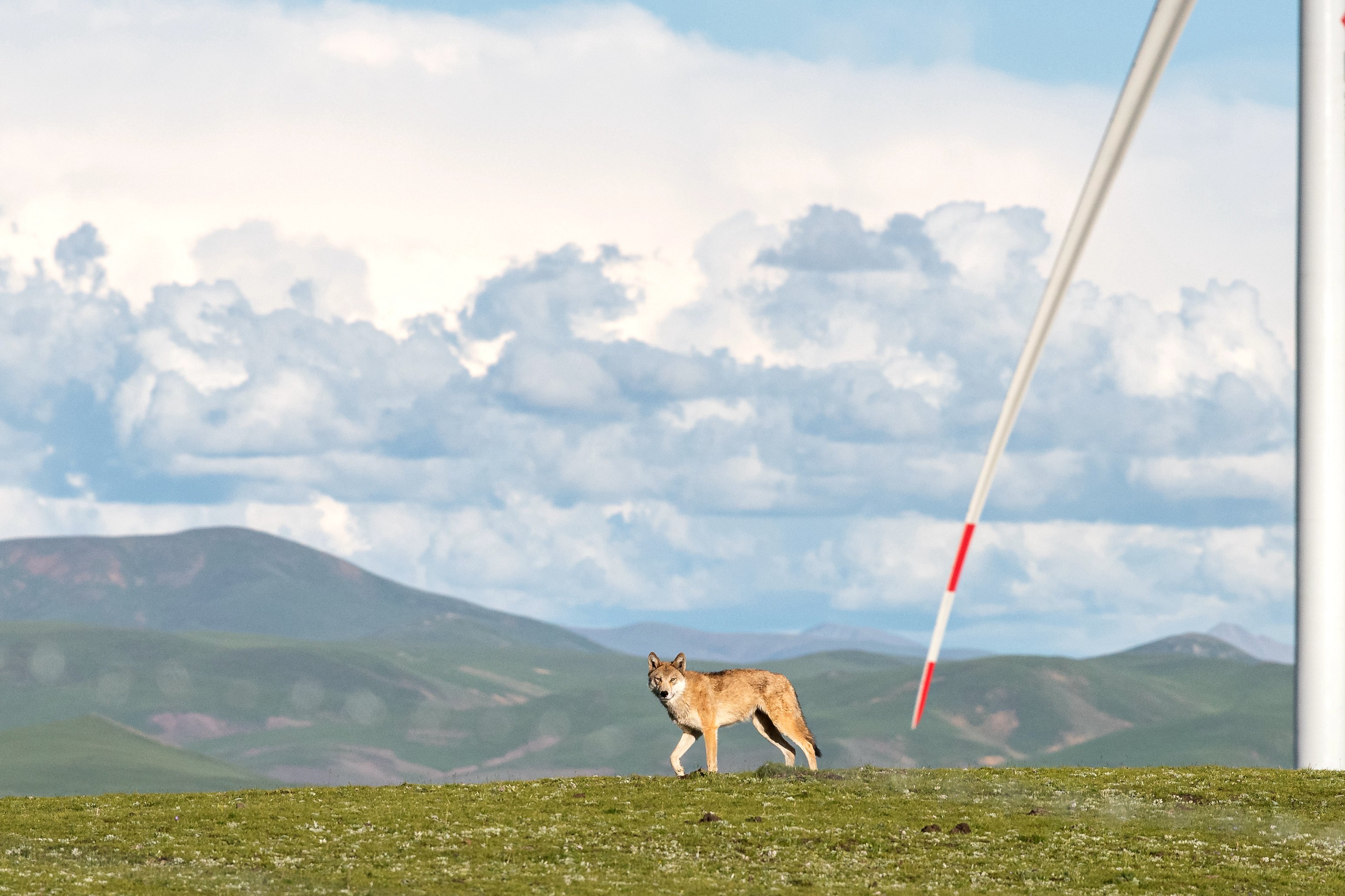 ��ʱ|AG(AsiaGaming)������Ӫ��