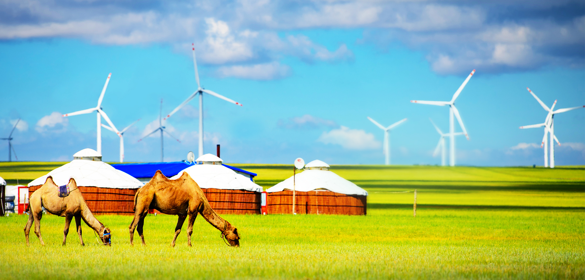 ��ʱ|AG(AsiaGaming)������Ӫ��