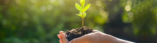 ��ʱ|AG(AsiaGaming)������Ӫ��